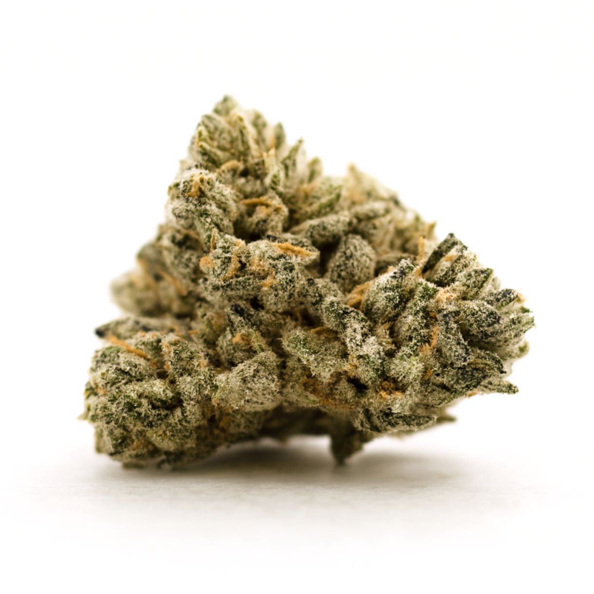 close-up of a frosty cannabis bud on a clean white background, showcasing dense green and purple tones with visible trichomes and orange pistils under soft, natural lighting