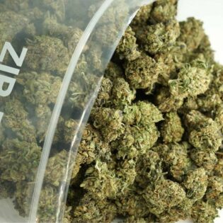 Close-up image of cannabis buds spilling out of a clear ZIP-ZAG plastic bag onto a white surface, showing dense green nugs with visible trichomes and orange hairs.