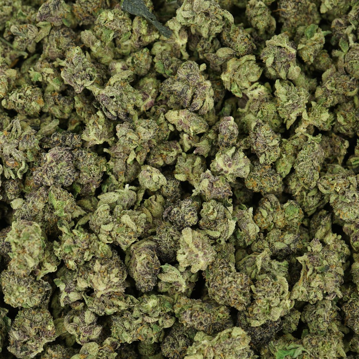 28gr - JET FUEL GELATO (SMALLS) - INDICA - (AAA) - Image 3