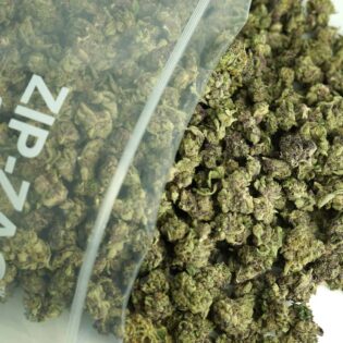 Close-up of a large quantity of cannabis small buds spilling from a clear ZIP-ZAG bag, showcasing dense green and purple tones with visible trichomes against a neutral background.