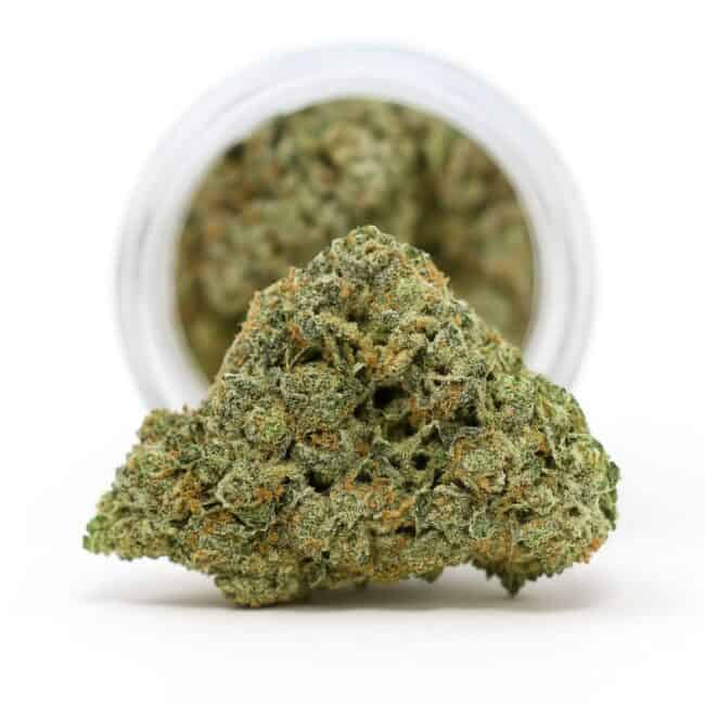 close-up of a dense cannabis bud resting in front of a glass jar, displayed on a crisp white background with natural lighting and visible trichome detail.