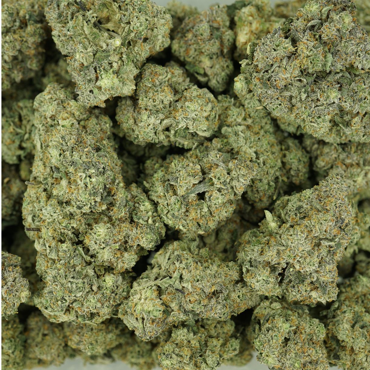 7gr - LEMON CHERRY GELATO - BALANCED HYBRID - (AAAA) - Image 3