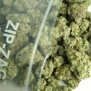 Close-up image of cannabis buds spilling out of a clear ZIP-ZAG plastic bag onto a white surface, showing dense green nugs with visible trichomes and orange hairs.