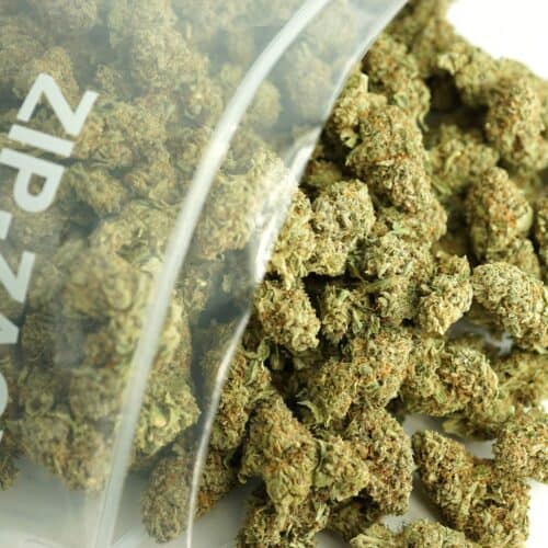 Close-up image of a clear resealable plastic bag filled with dense, trimmed cannabis buds on a white background. The photo highlights the buds’ texture, coloration, and quantity, emphasizing a clean, professional presentation for e-commerce use.