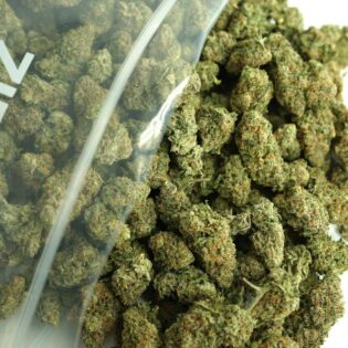 Close-up of cannabis buds spilling from a clear plastic bag, showing dense green nugs with orange hairs and frosty trichomes