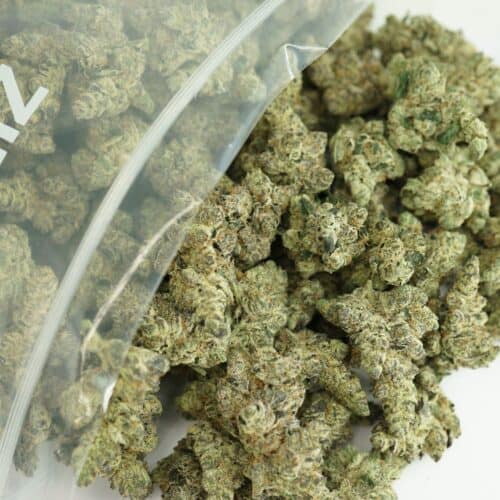 Large clear bag filled with dense cannabis buds, showcasing frosty green and orange tones with visible trichomes on a white background.