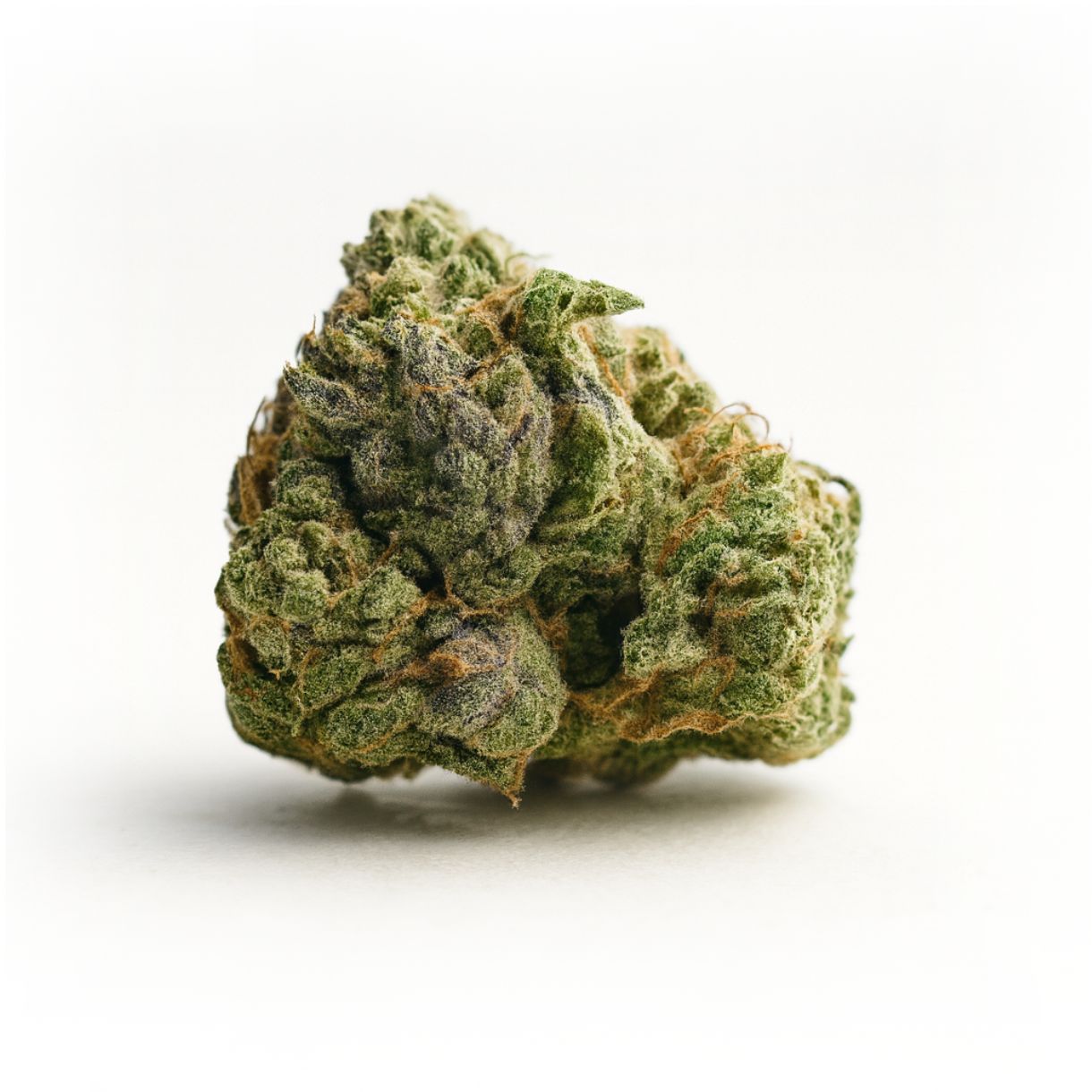 close-up of a cannabis bud on a crisp white background, showing dense green and purple hues with visible trichomes and orange pistils under soft natural lighting.