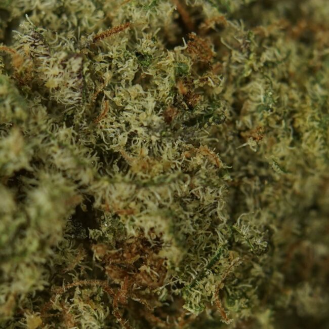 28gr - POWER PUNCH - BALANCED HYBRID - (AAA) - Image 2