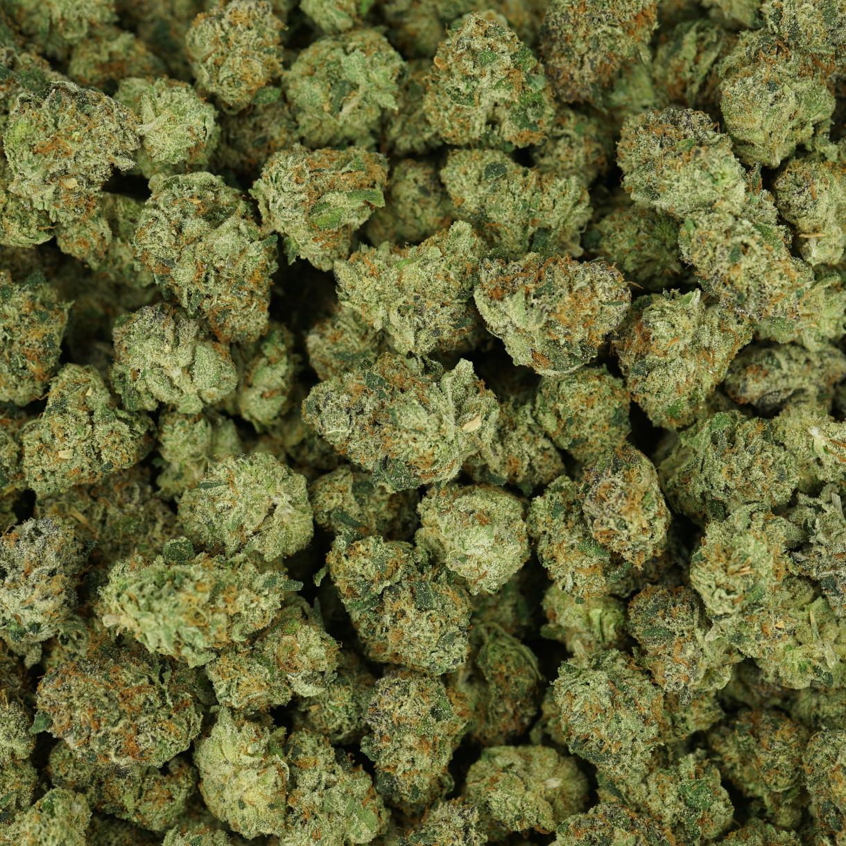 28gr - STAY PUFFED (SMALLS) - INDICA - (AAAA) - Image 3