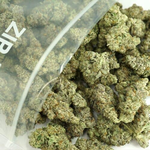 1/2p - ROJI OG (BULK) - BALANCED HYBRID - (AAAA)