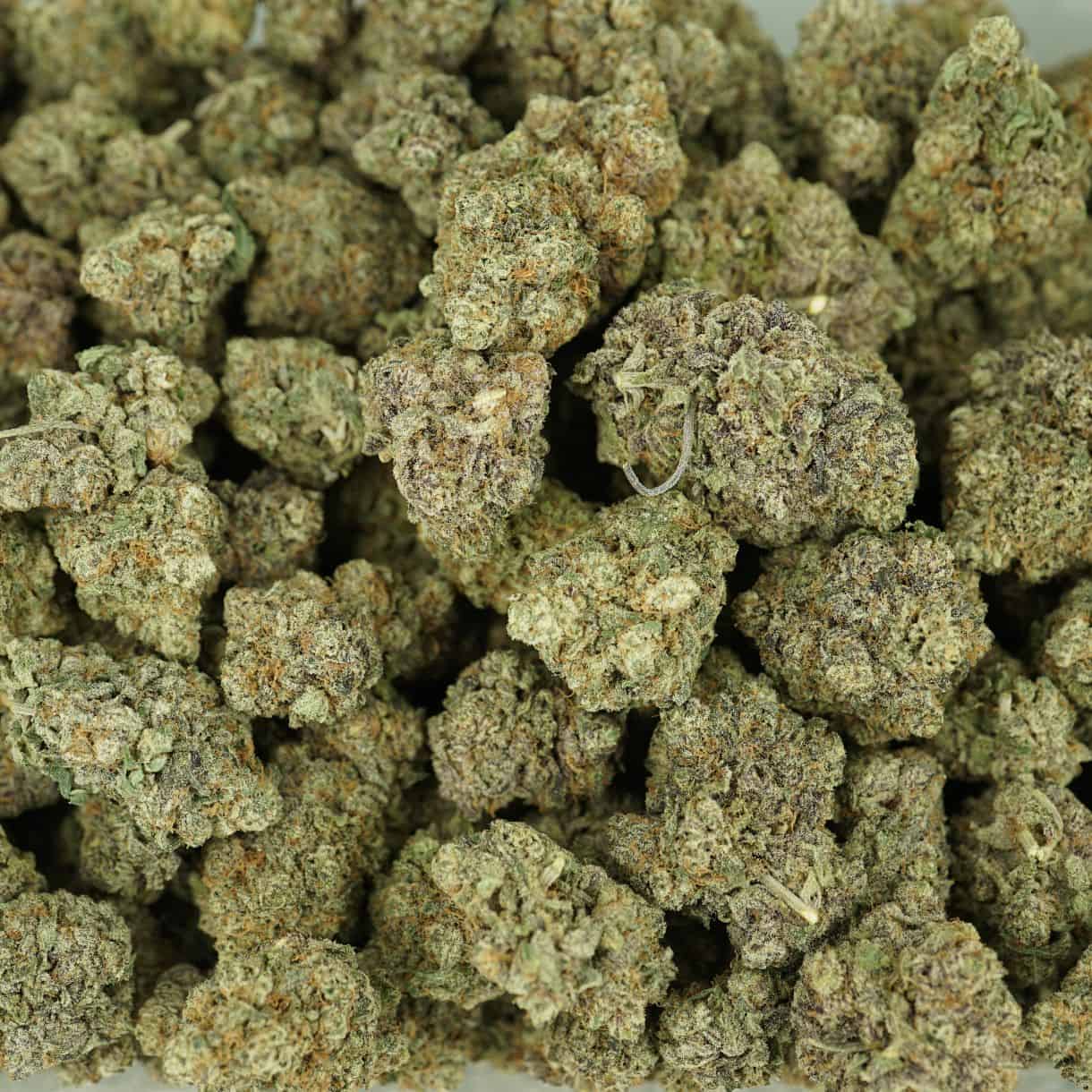 28gr - TRUFFLE OG - BALANCED HYBRID - (AAA) - Image 3