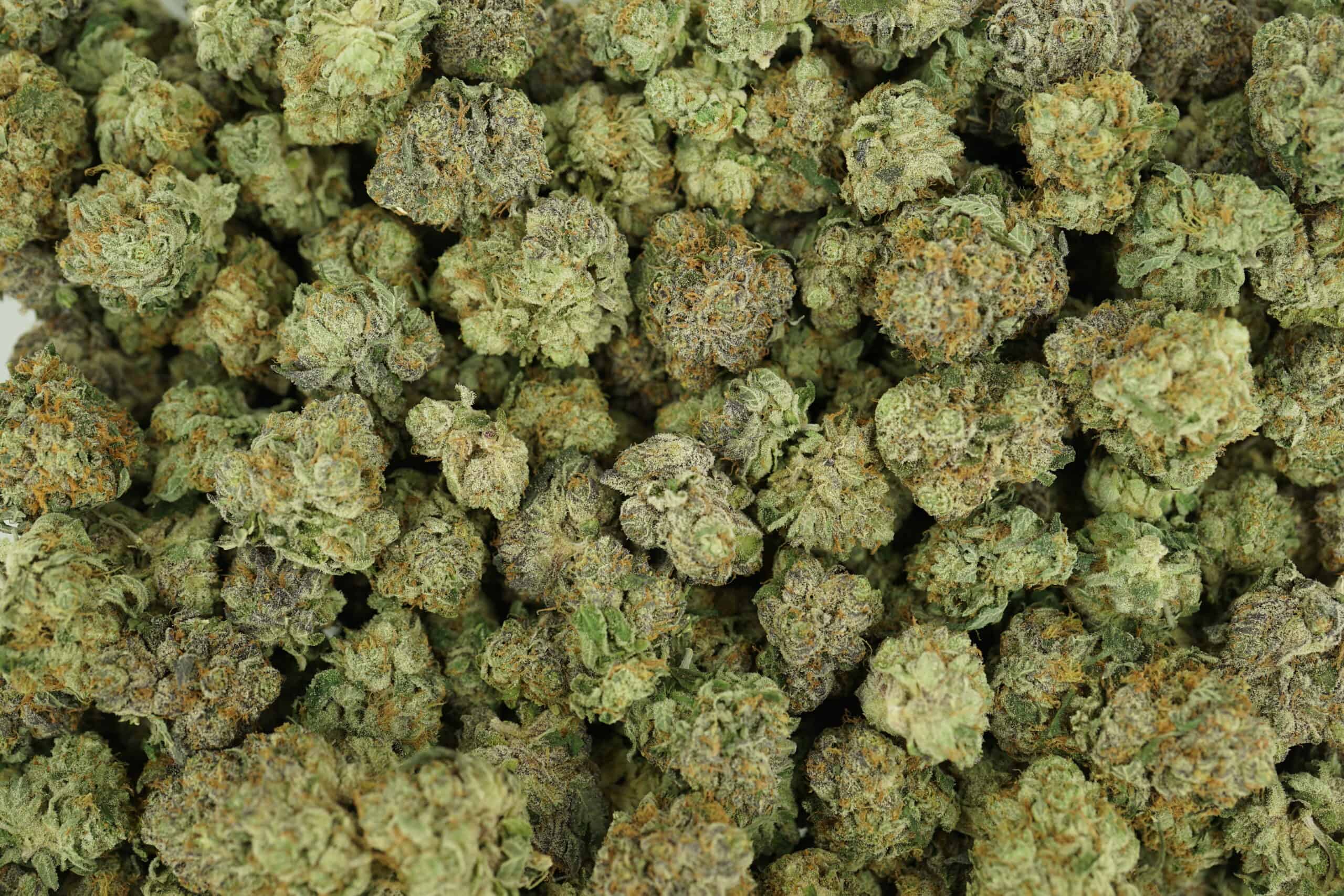 28gr - PURPLE KUSH - INDICA - (AAA) - Image 3