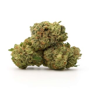 High-resolution cannabis buds on a clean white background, showing dense trichomes and natural green and orange tones.