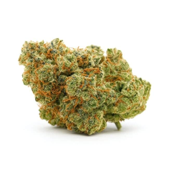 High-resolution cannabis bud on a crisp white background, showing detailed trichomes, orange pistils, and dense texture.