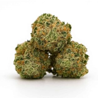 High-resolution cannabis buds stacked on a crisp white background, showing detailed trichomes and natural colour.