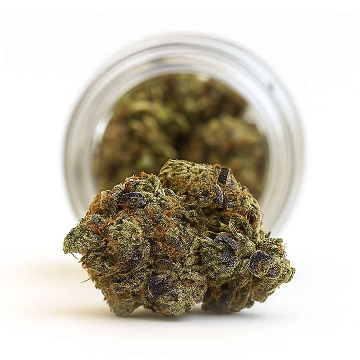 7gr - PURPLE CHURRO - INDICA - (AAAA)