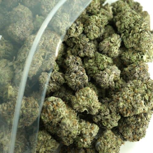 1/2p - PURPLE CHURRO (BULK) - INDICA - (AAAA)