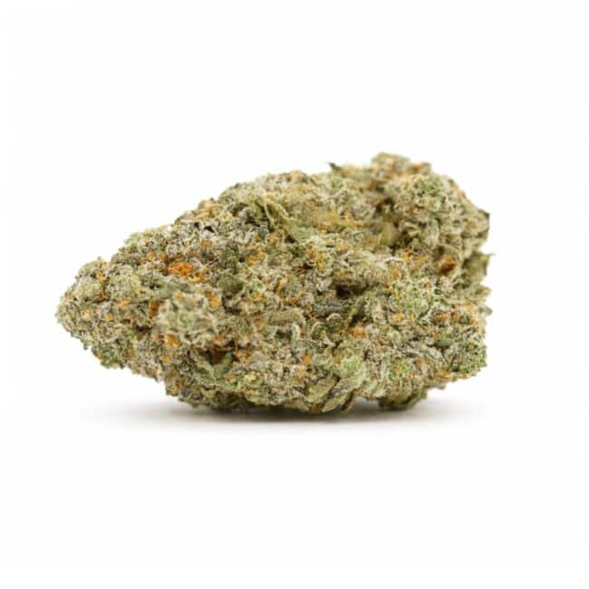 Close-up of a single cannabis flower with green hues and orange pistils on a white background.