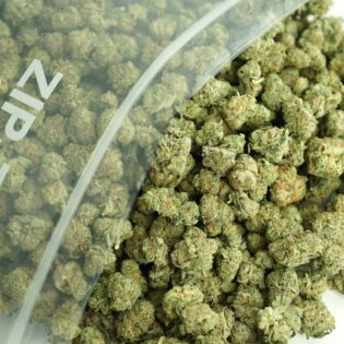 Close-up image of cannabis buds spilling out of a clear ZIP-ZAG plastic bag onto a white surface, showing dense green nugs with visible trichomes and orange hairs.