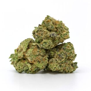 High-resolution photo of three dense cannabis buds stacked on a crisp white background, showing detailed trichomes and natural green tones
