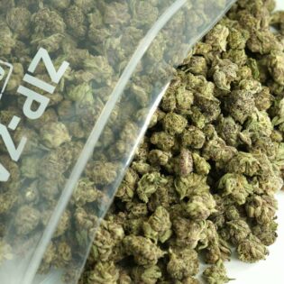 1/2p - GRAPE KUSH (SMALLS) (BULK) - INDICA - (AAA)