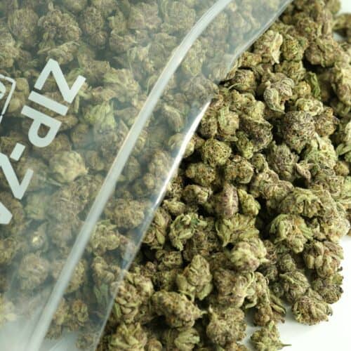 1/2p - GRAPE KUSH (SMALLS) (BULK) - INDICA - (AAA)