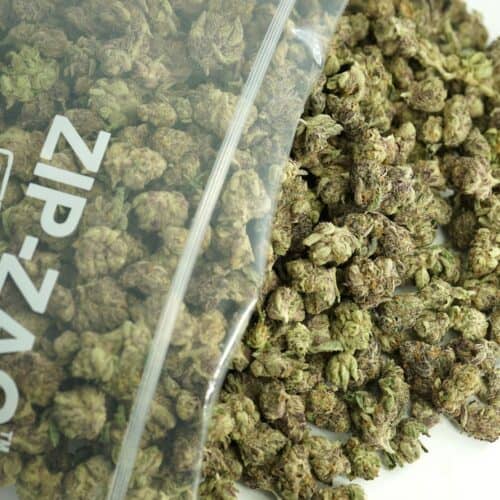 Close-up image of cannabis buds spilling out of a clear ZIP-ZAG plastic bag onto a white surface, showing dense green nugs with visible trichomes and orange hairs.