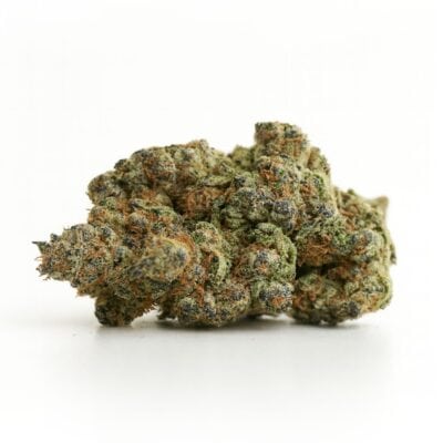 High-resolution cannabis flower on a crisp white background, showing detailed trichomes, natural color balance, and dense bud structure.