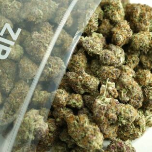 Close-up image of cannabis buds spilling out of a clear ZIP-ZAG plastic bag onto a white surface, showing dense green nugs with visible trichomes and orange hairs.