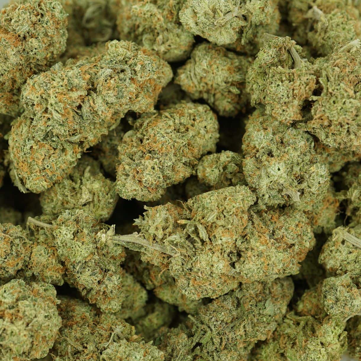 28gr - SUPER SILVER HAZE - SATIVA - (AAA) - Image 3