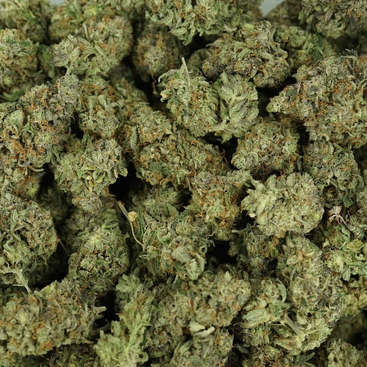 28gr - PLATINUM PINK - INDICA - (AAA) - Image 3