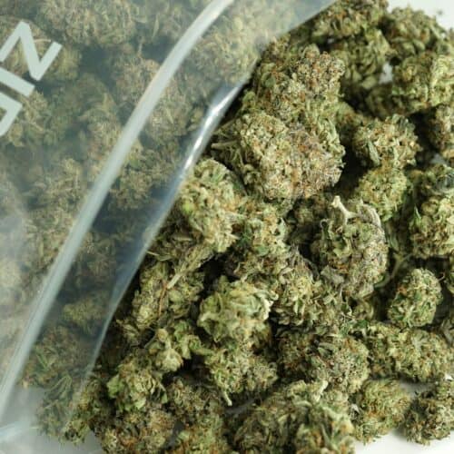 Close-up image of cannabis buds spilling out of a clear ZIP-ZAG plastic bag onto a white surface, showing dense green nugs with visible trichomes and orange hairs.