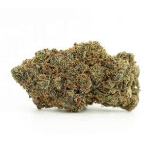 High-resolution cannabis bud on a crisp white background, showcasing dense trichomes, natural green and orange tones, and detailed texture.