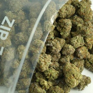 Close-up image of cannabis buds spilling out of a clear ZIP-ZAG plastic bag onto a white surface, showing dense green nugs with visible trichomes and orange hairs.