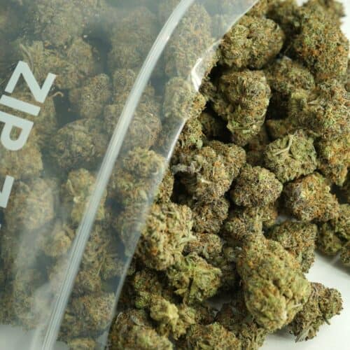 Close-up image of cannabis buds spilling out of a clear ZIP-ZAG plastic bag onto a white surface, showing dense green nugs with visible trichomes and orange hairs.