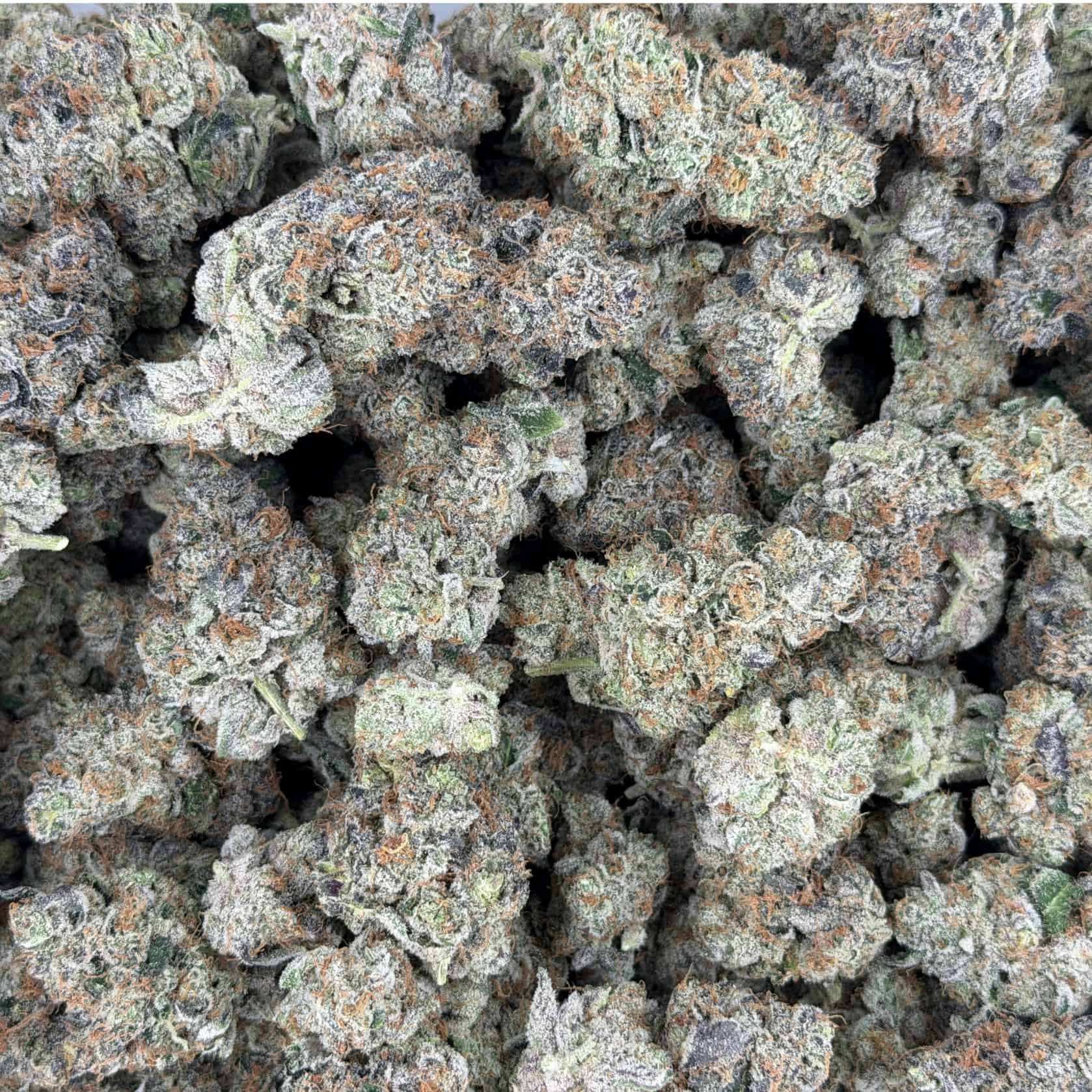 7gr - VIOLET FOG - INDICA - (AAAA) - Image 3