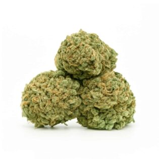 Three high-resolution cannabis buds stacked against a crisp white background, showing natural green coloration, subtle orange pistils, and detailed trichomes with balanced lighting.