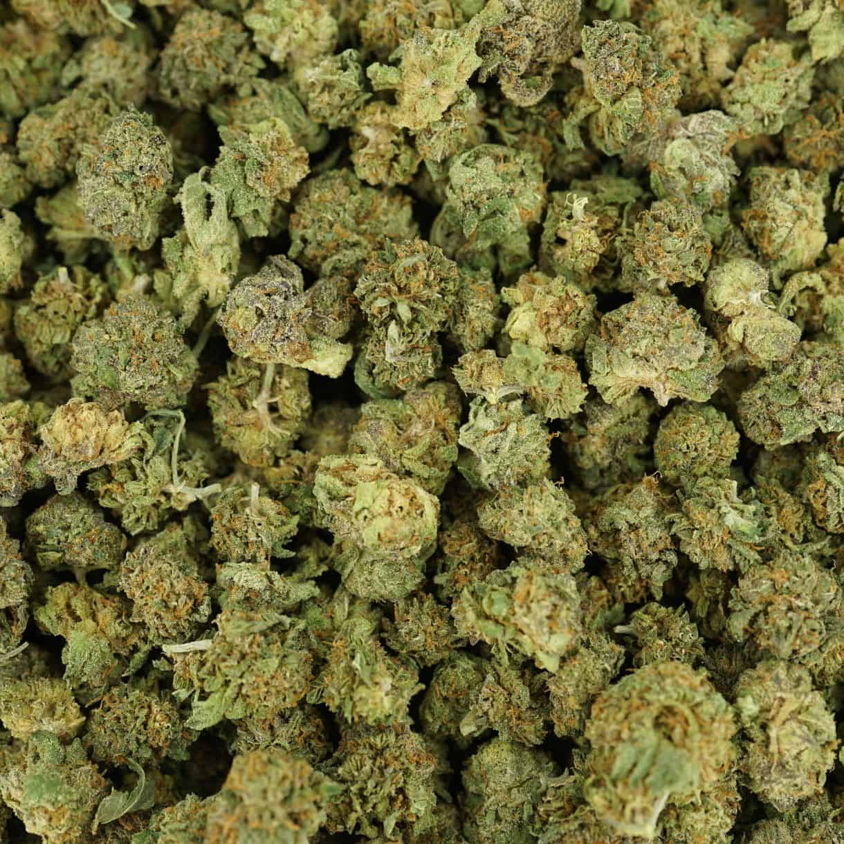 28gr - CAKE ENVY (SMALLS) - INDICA - (AAA) - Image 3