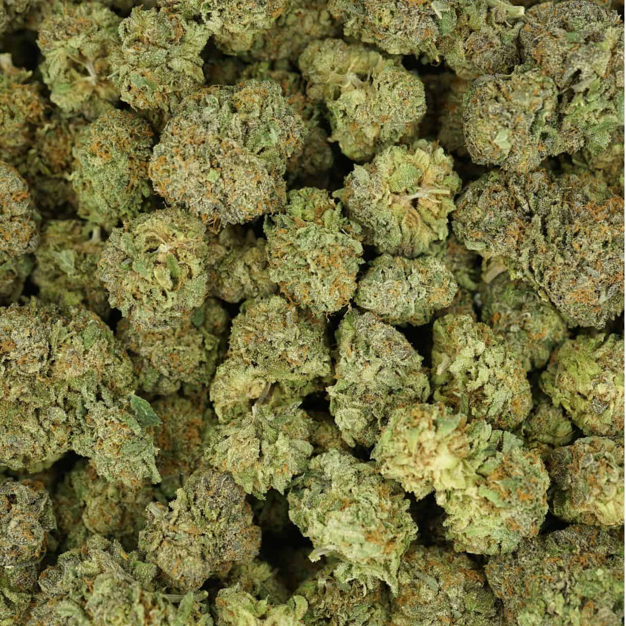 28gr - CAKE ENVY - INDICA - (AAA) - Image 3