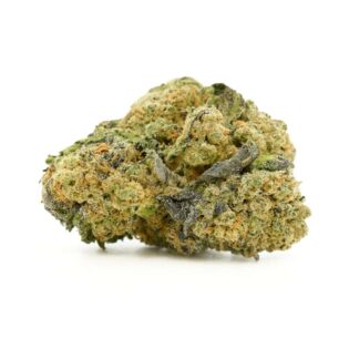 High-resolution cannabis flower on a crisp white background, featuring detailed trichomes, orange pistils, and natural green and purple tones with balanced lighting.