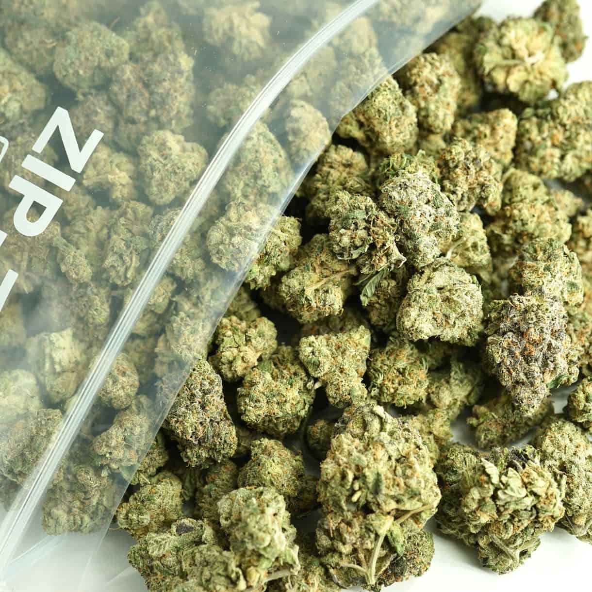 Close-up image of cannabis buds spilling out of a clear ZIP-ZAG plastic bag onto a white surface, showing dense green nugs with visible trichomes and orange hairs.