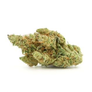 High-resolution cannabis flower on a crisp white background, showing detailed trichomes, orange pistils, and natural green coloration with balanced lighting.