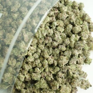 Close-up image of cannabis buds spilling out of a clear ZIP-ZAG plastic bag onto a white surface, showing dense green nugs with visible trichomes and orange hairs.