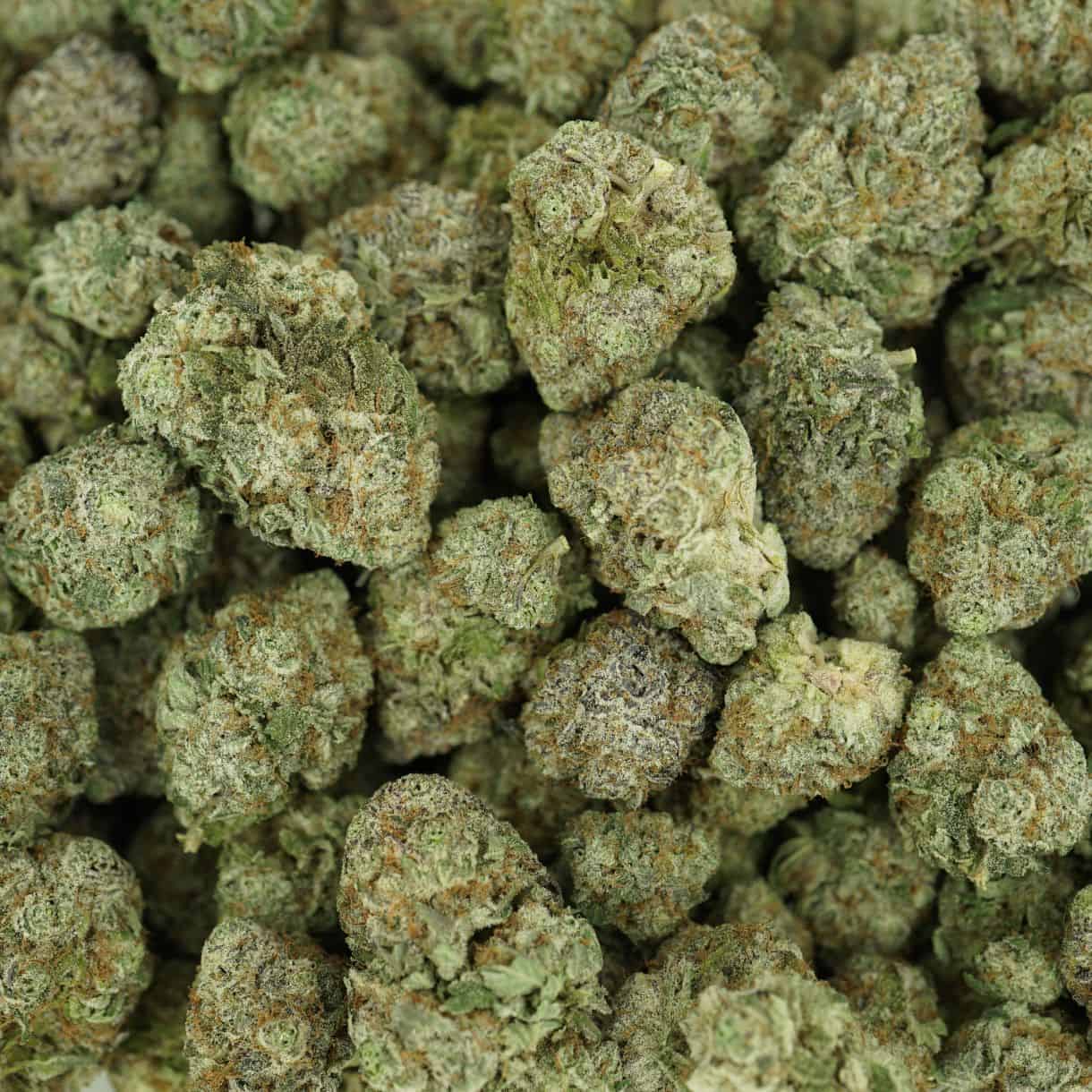 28gr - BLACK SKUNK BERRY - INDICA - (AAA) - Image 3