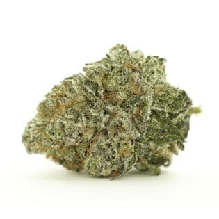 Close-up of a dense cannabis flower with light green buds, orange pistils, and visible trichome coverage on a white background.