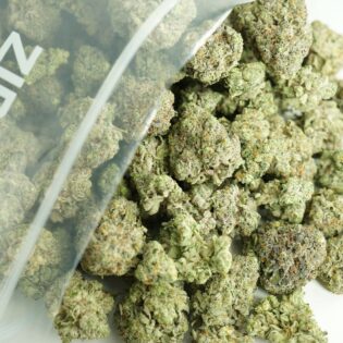 Close-up image of cannabis buds spilling out of a clear ZIP-ZAG plastic bag onto a white surface, showing dense green nugs with visible trichomes and orange hairs.