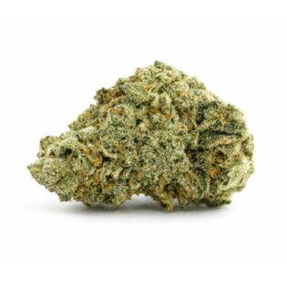 Close-up photograph of a cannabis flower with dense green buds and visible trichomes on a crisp white background.