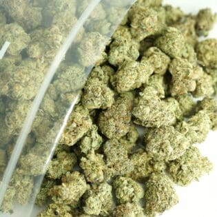 Close-up image of cannabis buds spilling out of a clear ZIP-ZAG plastic bag onto a white surface, showing dense green nugs with visible trichomes and orange hairs.