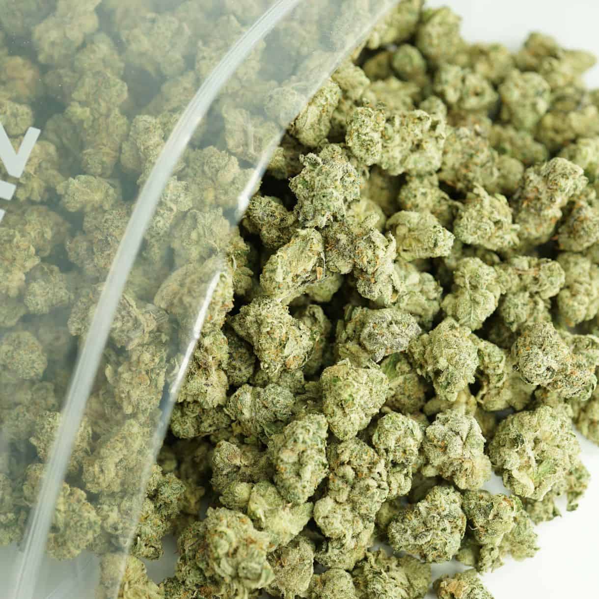 Close-up image of cannabis buds spilling out of a clear ZIP-ZAG plastic bag onto a white surface, showing dense green nugs with visible trichomes and orange hairs.