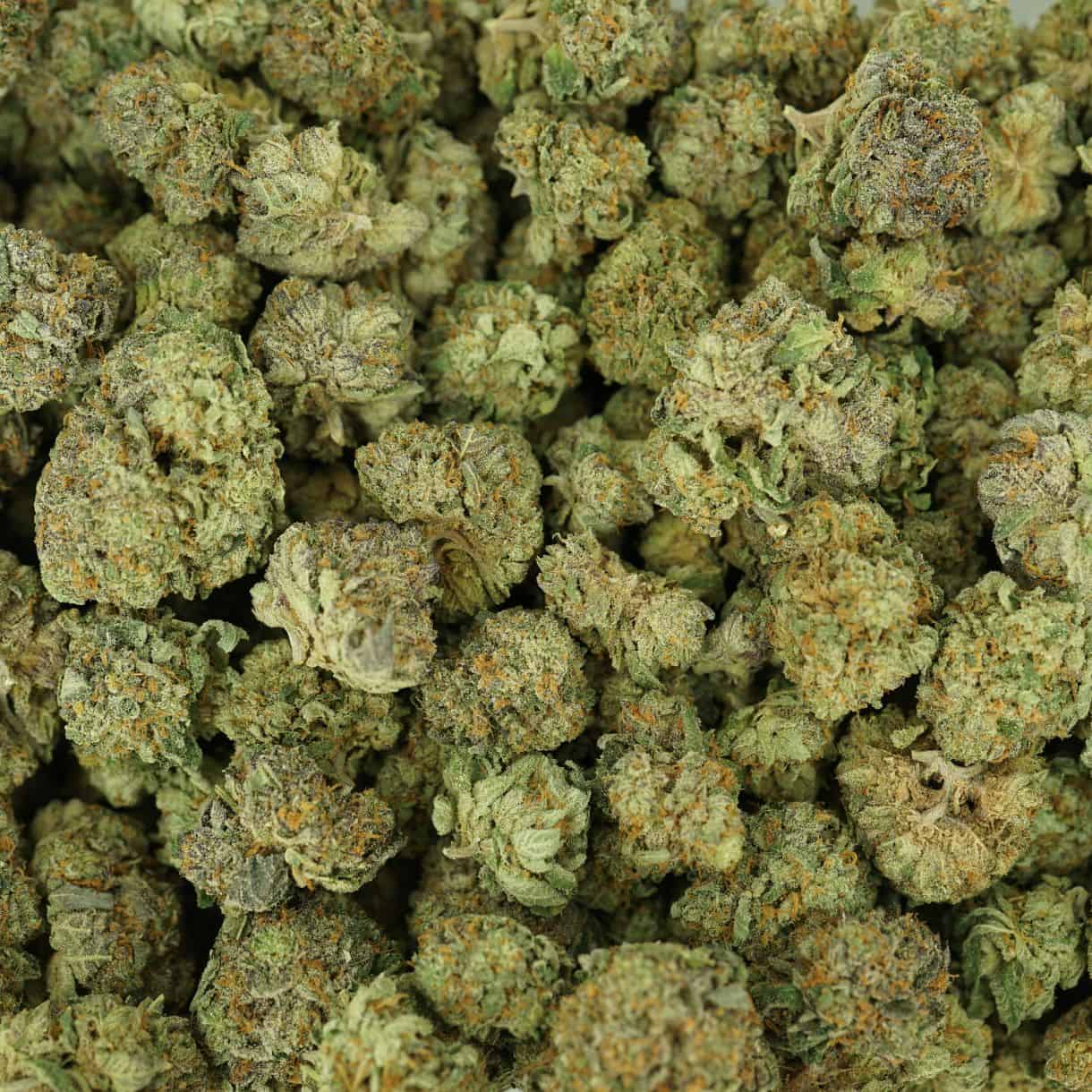 28gr - POPSCOTTI - INDICA - (AAA) - Image 3